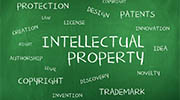 Romania intellectual property rights investigator